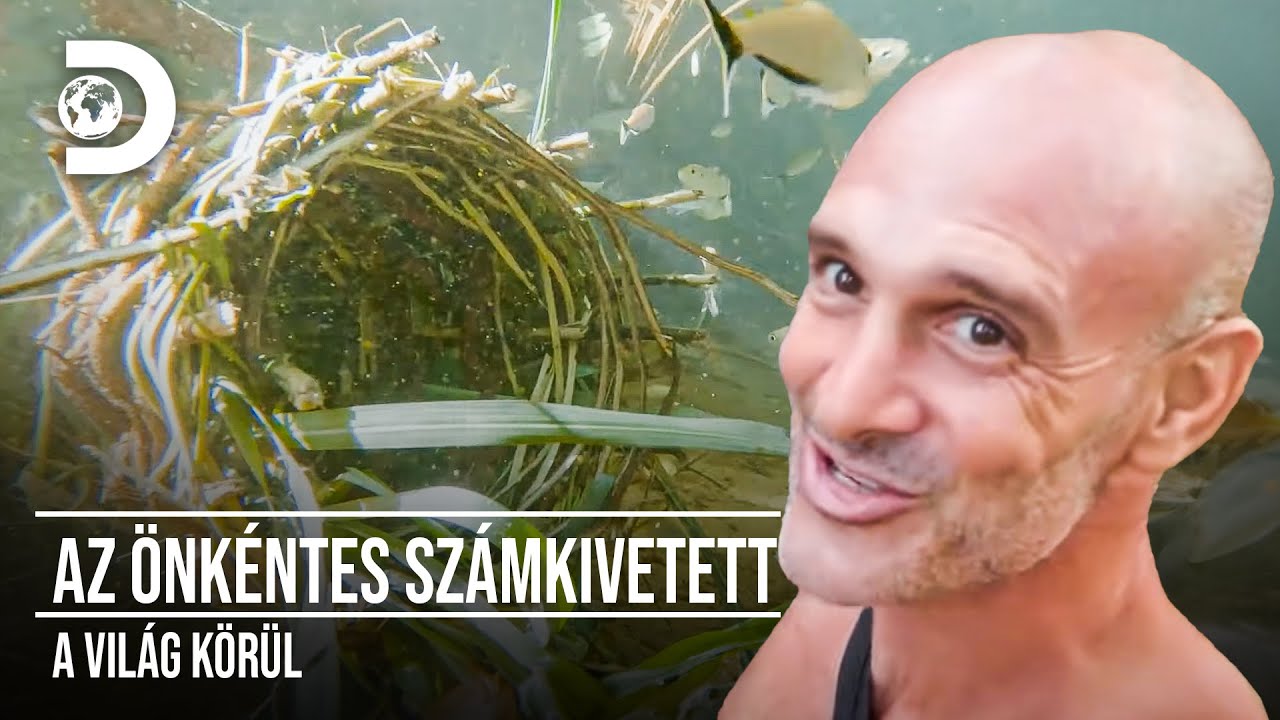 Horgászás termitákkal | Az önkéntes számkivetett - a világ körül