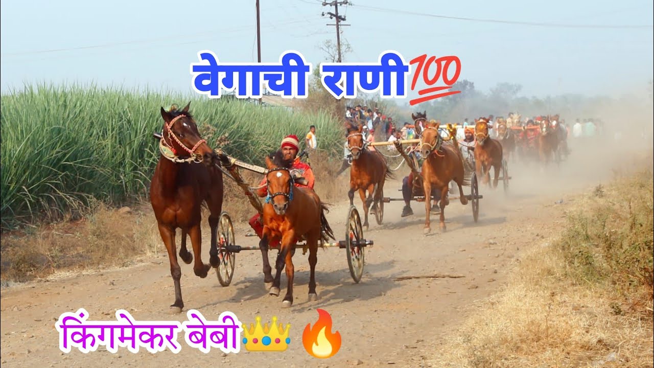 👉😍वाळवा बेबी & टिकल्या रुकडी जनरल मैदान प्रथम क्रमांक 👑🔥 | horse cart race