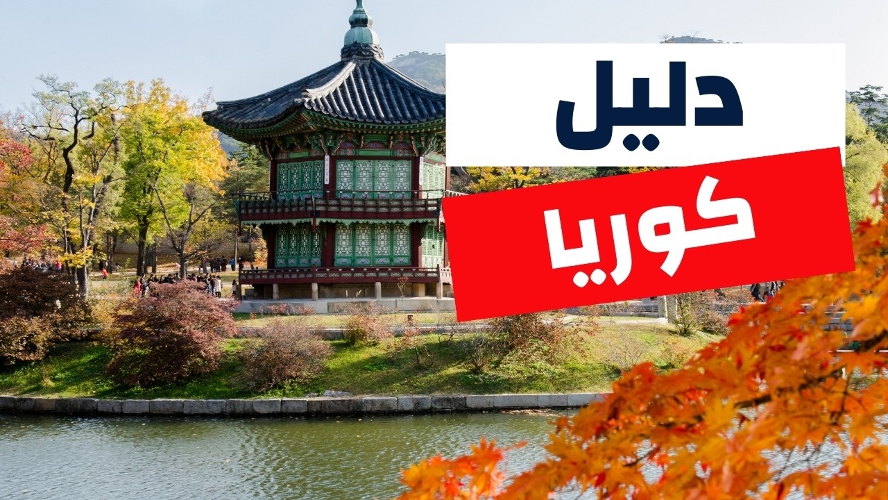 تجربتي في كوريا |  دليلك الكامل للسياحة مع التكاليف