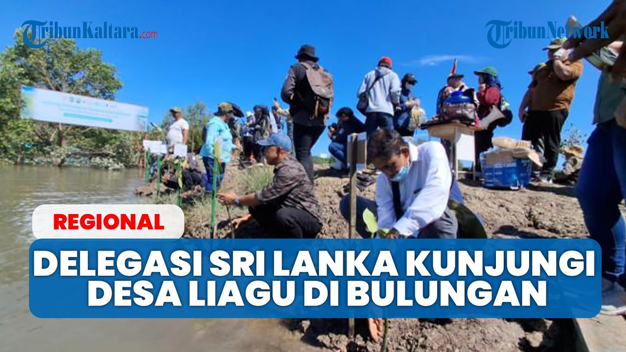 Delegasi Sri Lanka Kunjungi Desa Liagu di Bulungan, Lakukan Pengamatan dan Penanaman Mangrove