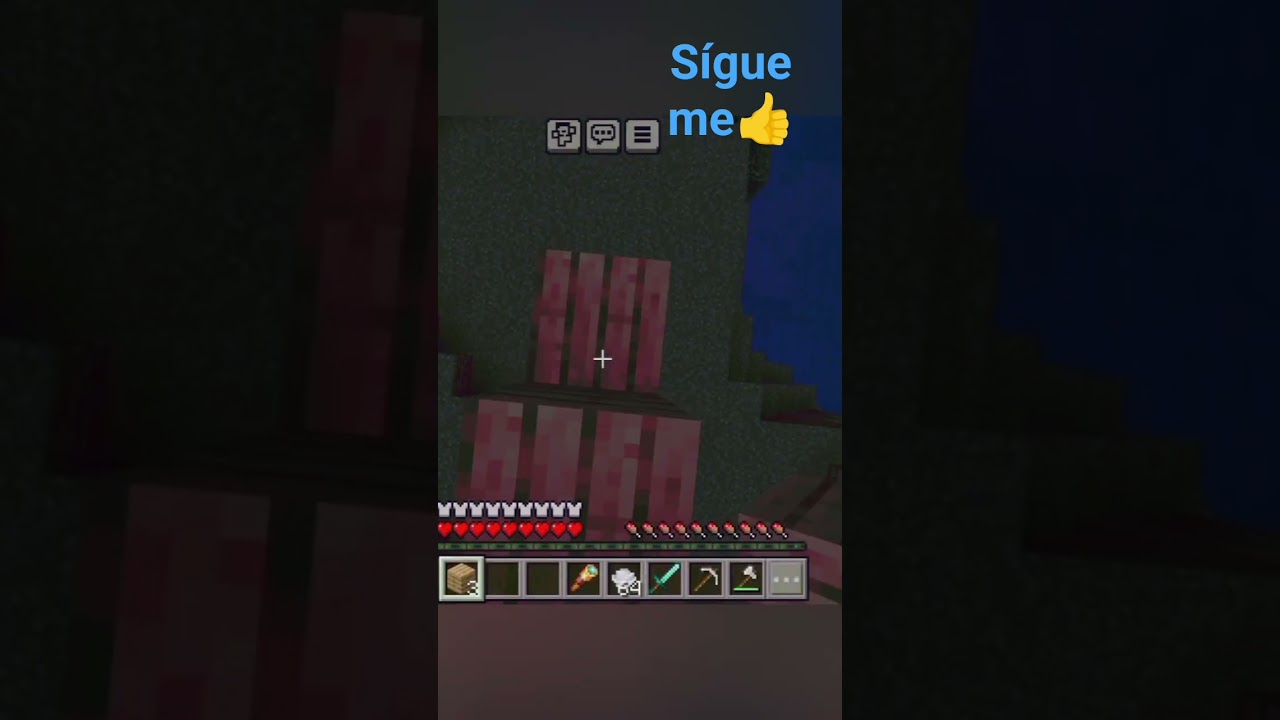 sigueme Maicito 🌽💖