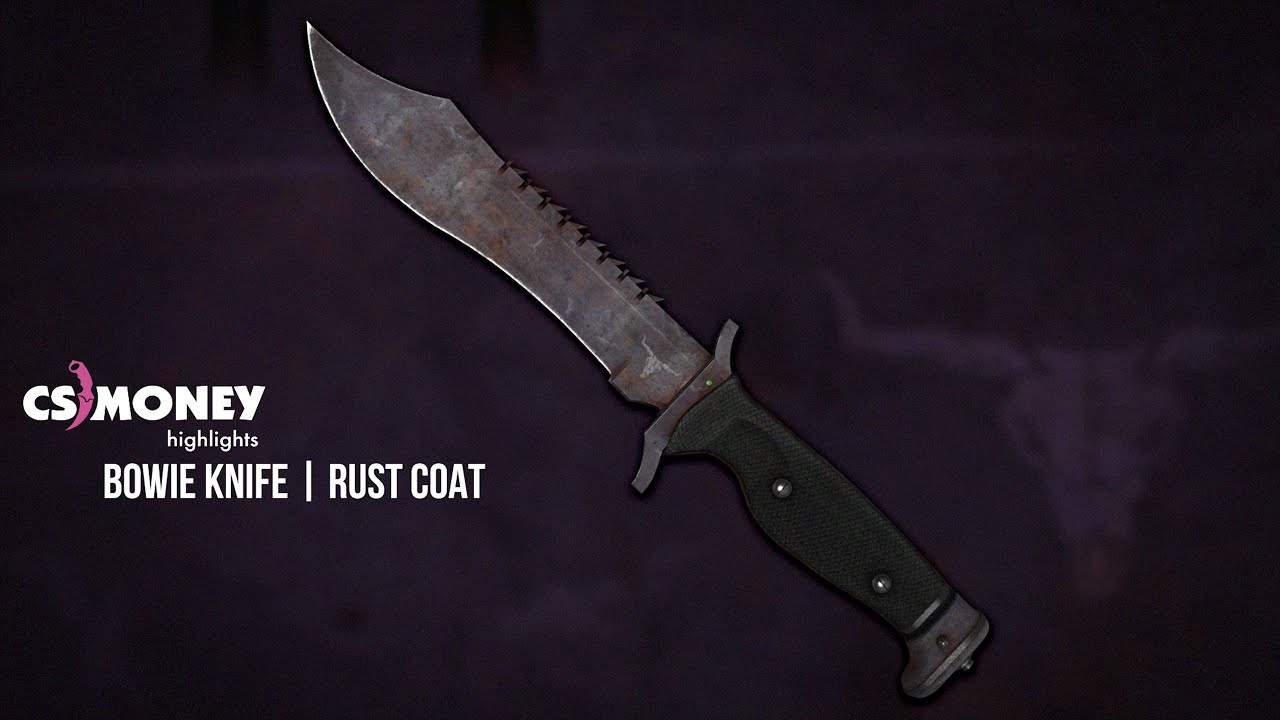 CS:GO | Bowie Knife - Rust Coat