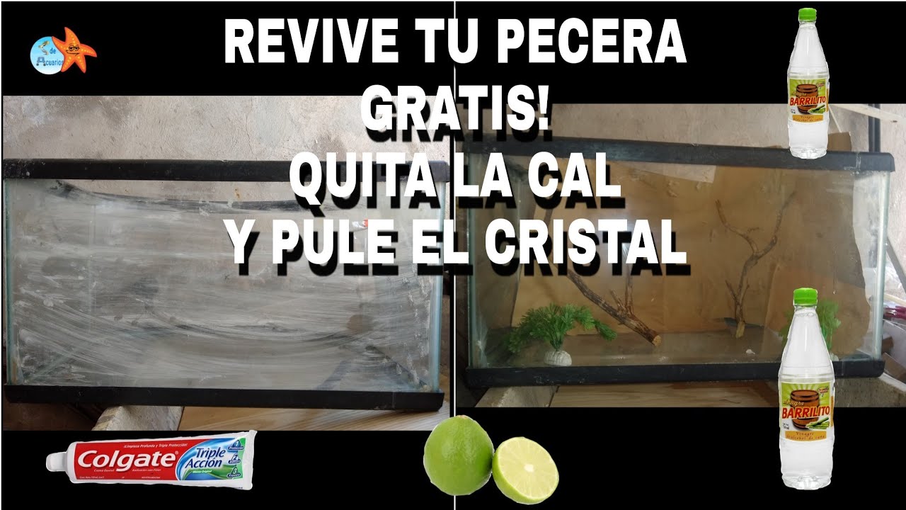 COMO quitar CAL/SARRO/rayones de tu Pecera/Acuario por completo y pulir el VIDRIO de lo opaco