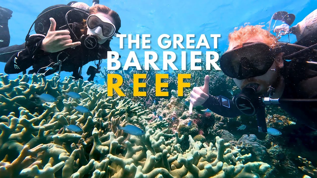 SCUBA DIVING THE GREAT BARRIER REEF || Port Douglas & A Natural Wonder of the World (Aussie Vlog#19)