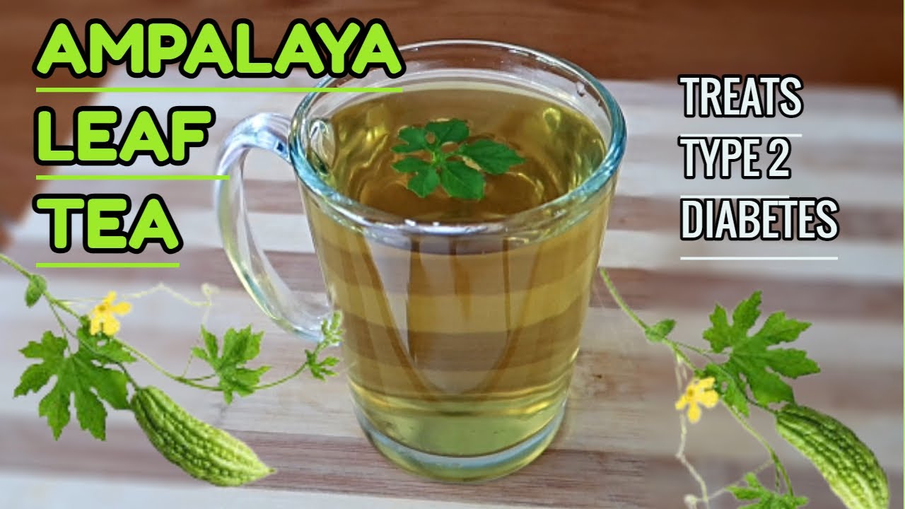 How to Make BITTER MELON LEAF TEA for DIABETES / Contains INSULIN LIKE SUBSTANCE