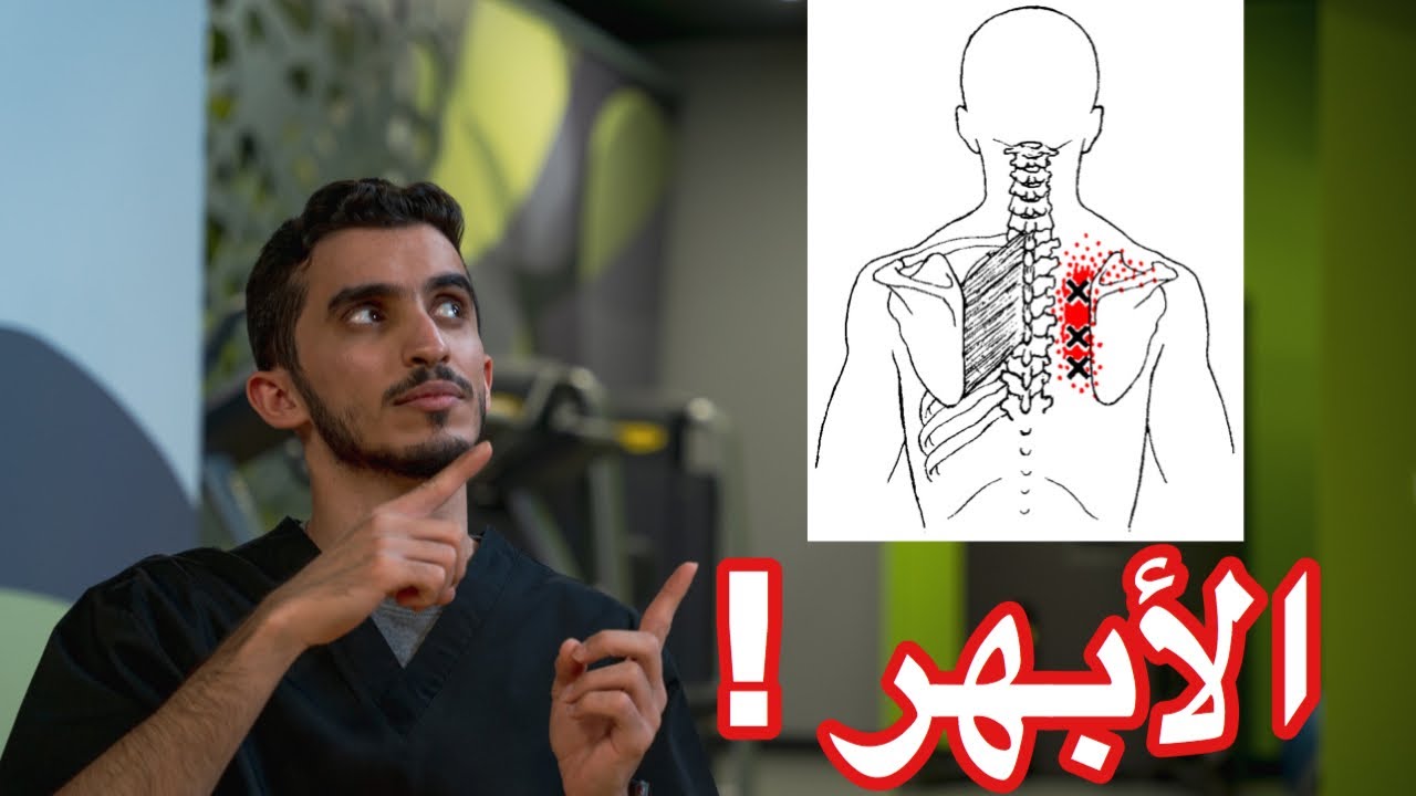 ٦ تمارين لتخفيف ألم الأبهر 🤕✅