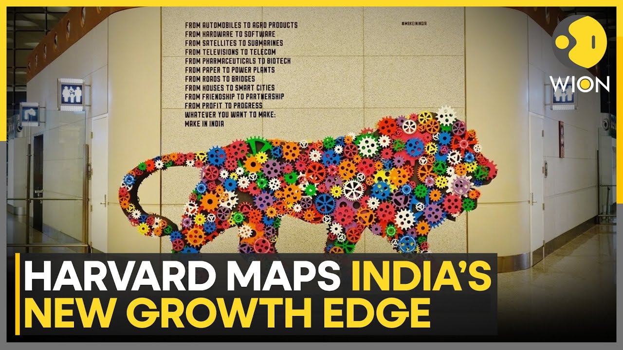 Harvard Economist Tracks India&rsquo;s Post-Covid Growth: Mapping the Economy&rsquo;s New Edge | WION