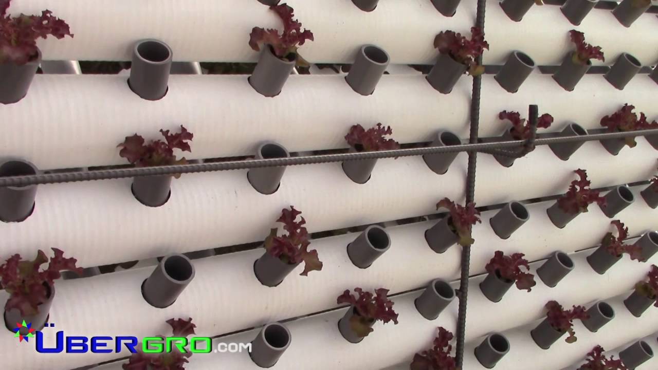 Vertical Linear Aquaponics 3.0 -Short