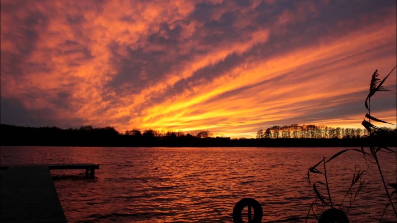 Trauma:a - Sommernachtstraum (feat. flicflac)