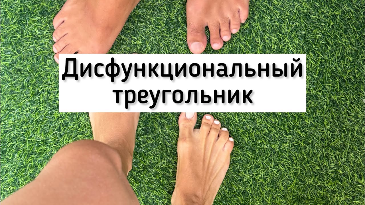 22 ноября 2025 г.