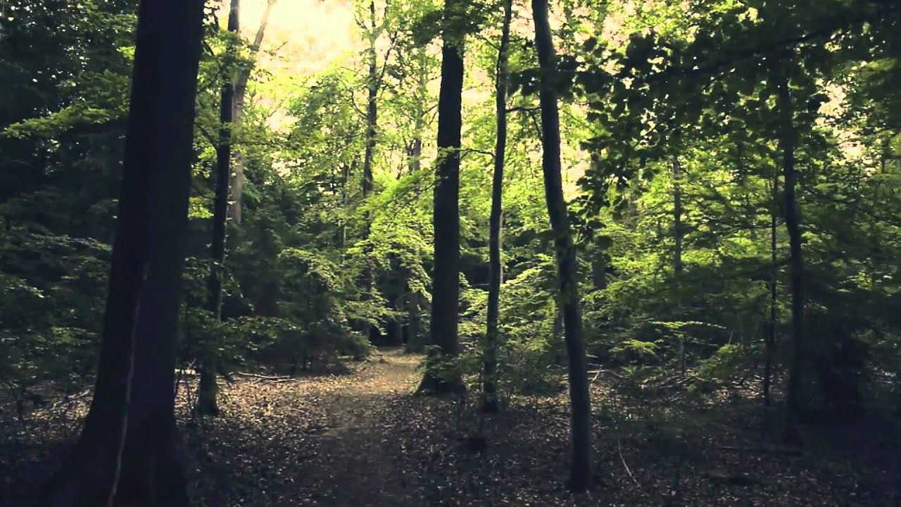 Cillo - Breathe (Vocal Mix) HD-Video