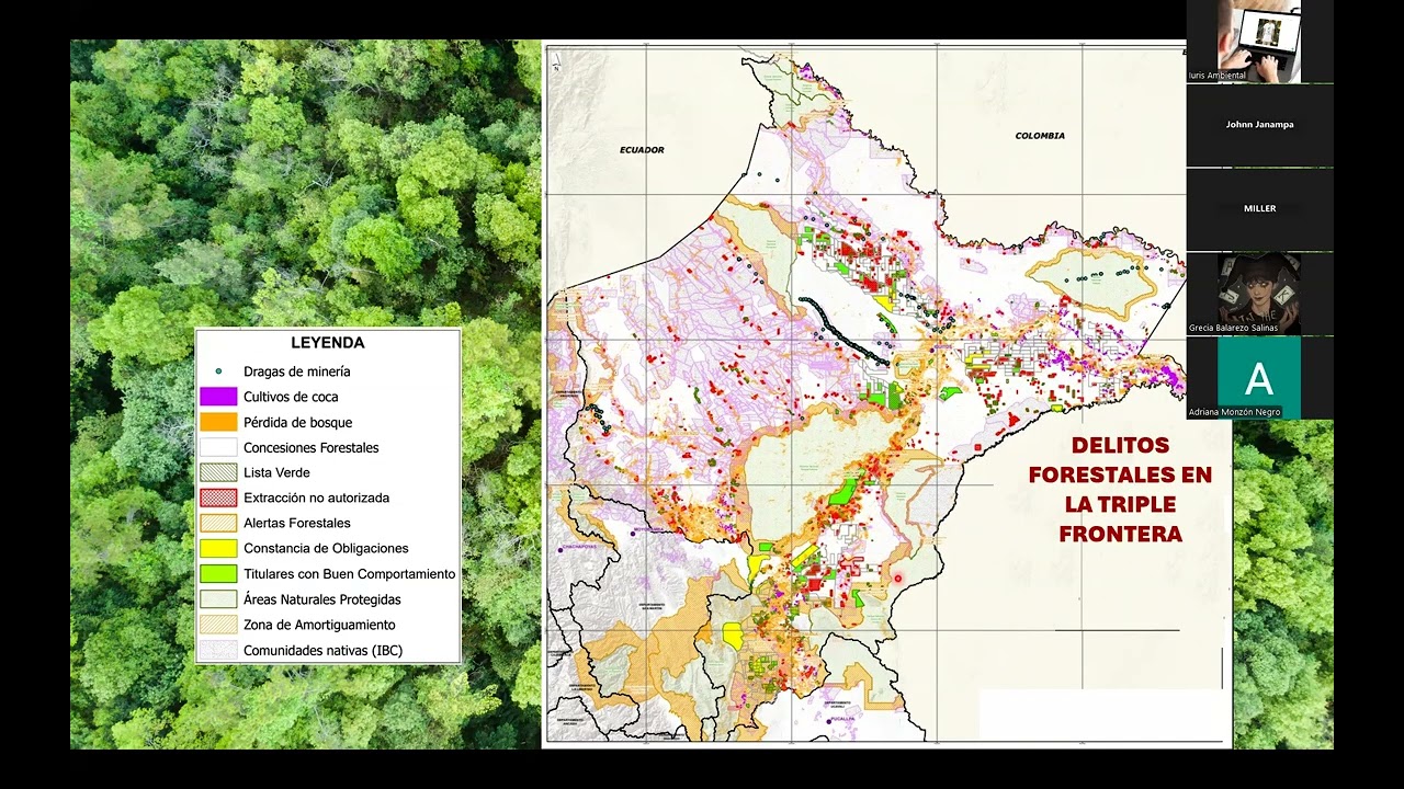 forest 17 mar video1430199114