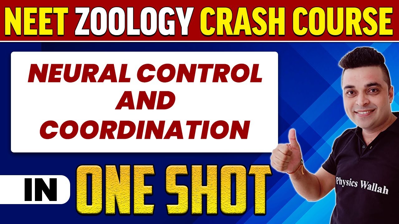 NEURAL CONTROL AND COORDINATION in 1 Shot : All Concepts, Tricks & PYQs | NEET Crash Course | UMMEED