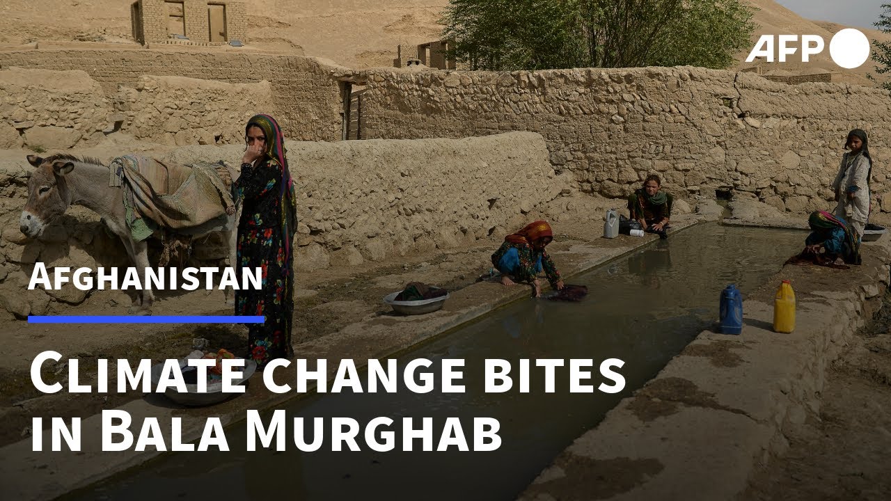 Climate change now worse than war for Afghan farmers | AFP