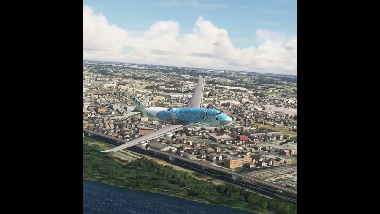 the carelessness of an airplane pilot 0188