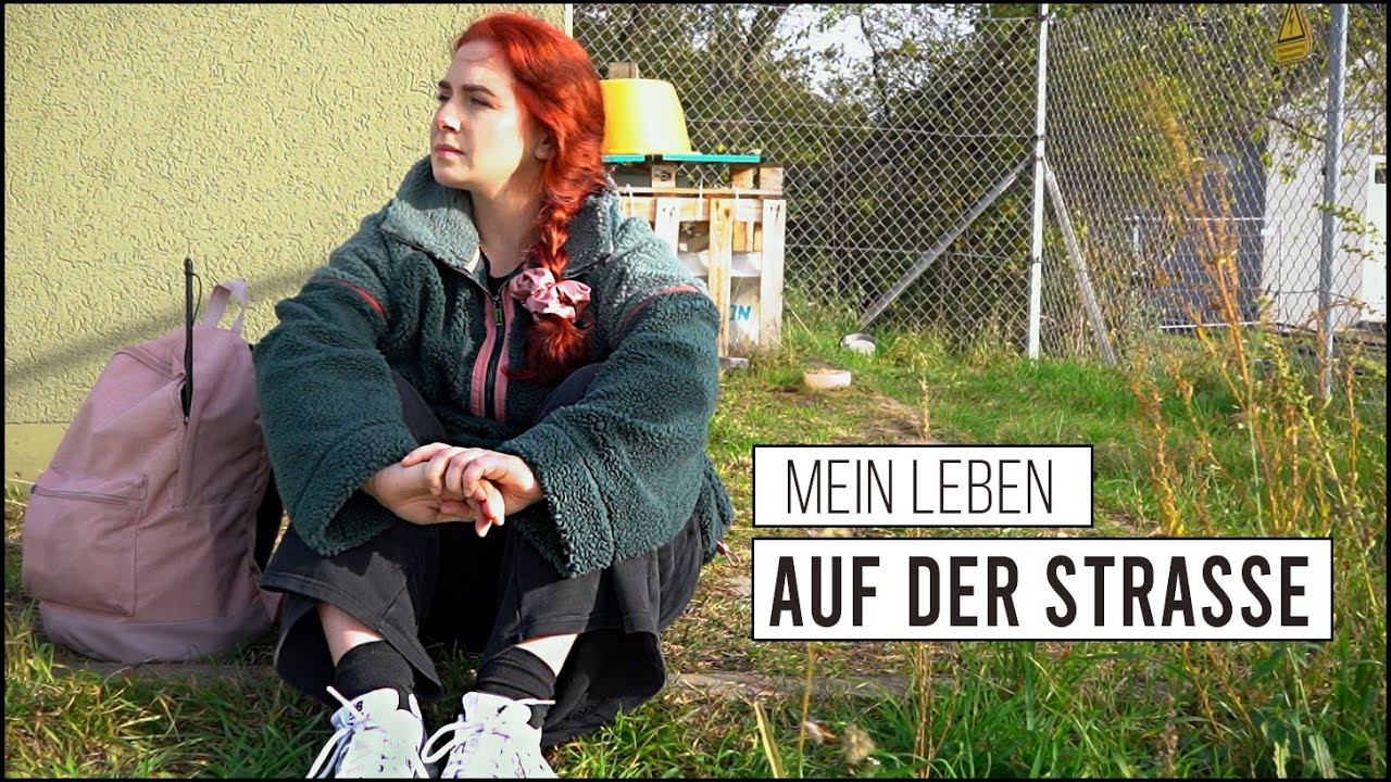 Wie jeder Straßenkatzen helfen - mein Weg zum Tierschutz / Amely Rose