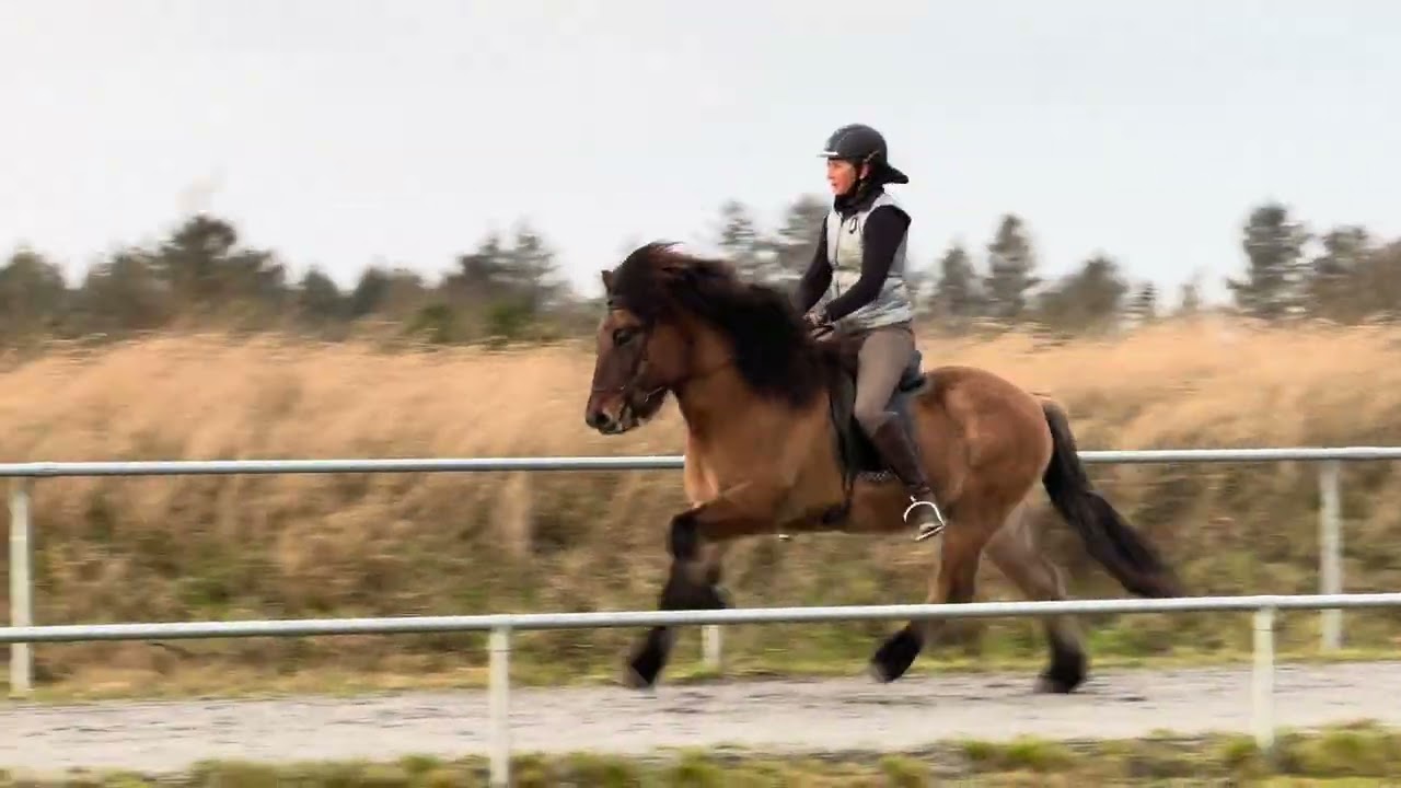 Vinur fra Rija