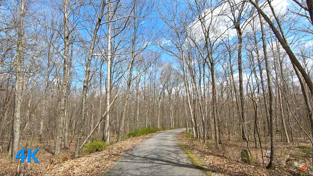 Ridge Road in High Point State Park NJ