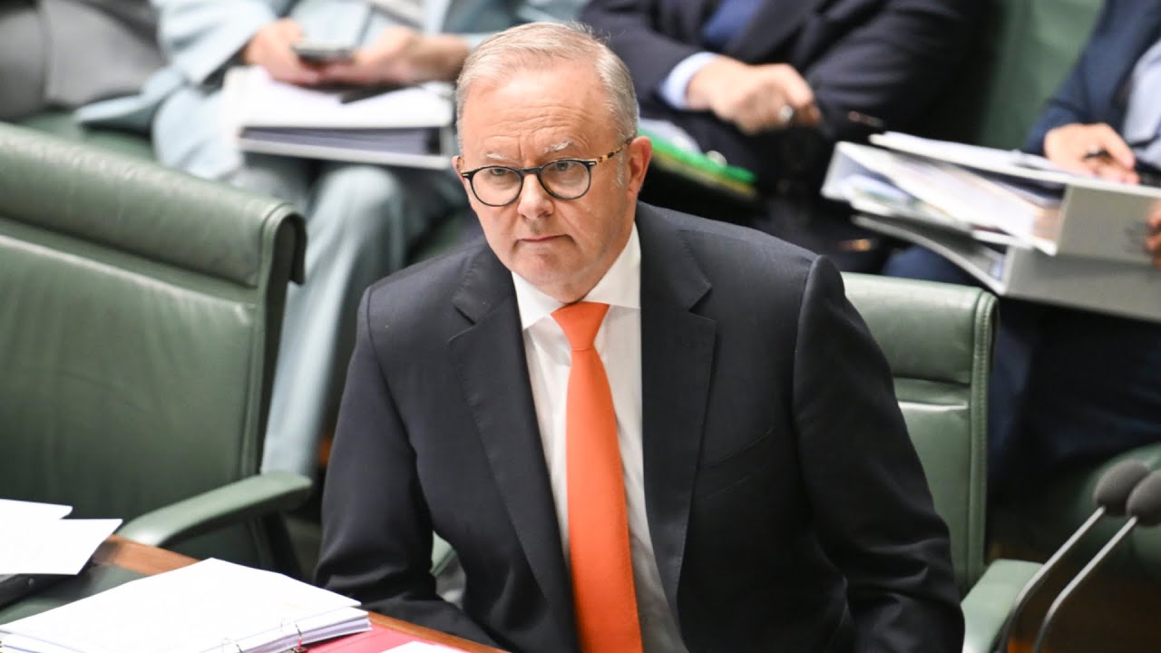 Albanese&rsquo;s CGT changes risk driving entrepreneurs offshore: Ross Greenwood