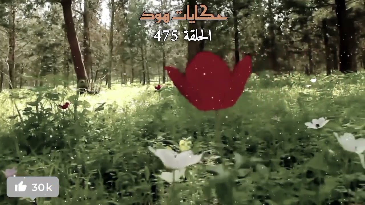 جث.....ة بدون رأ.س  ... قضية كانت مشهورة