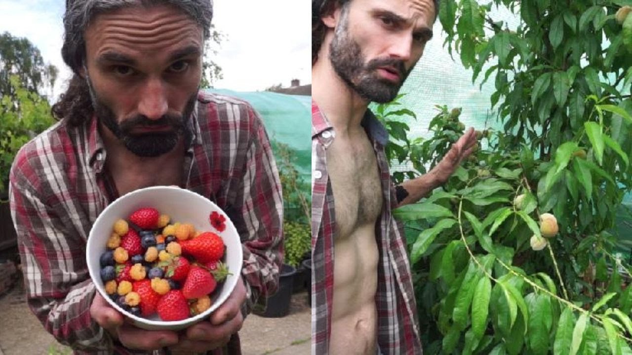 Summer Harvest Tour: June Fruit Picking Adventure!