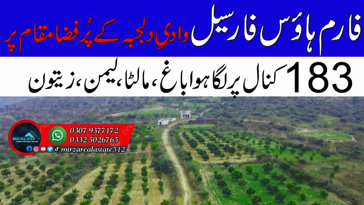 183 Kanal Farm House For Sale District Chakwal | On Chakwal To Sohawa Main GT Road.#land #farmhouse