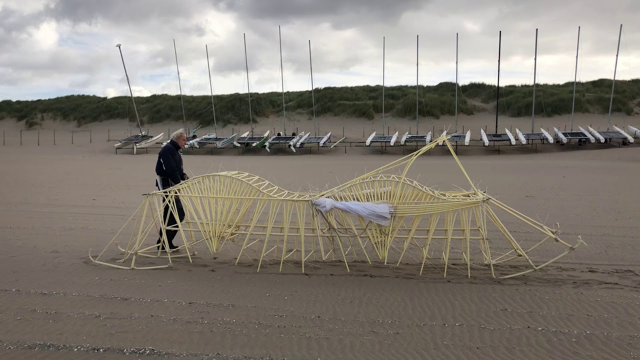 Strandbeest Theo Jansen Zuiderstrand, The Hague