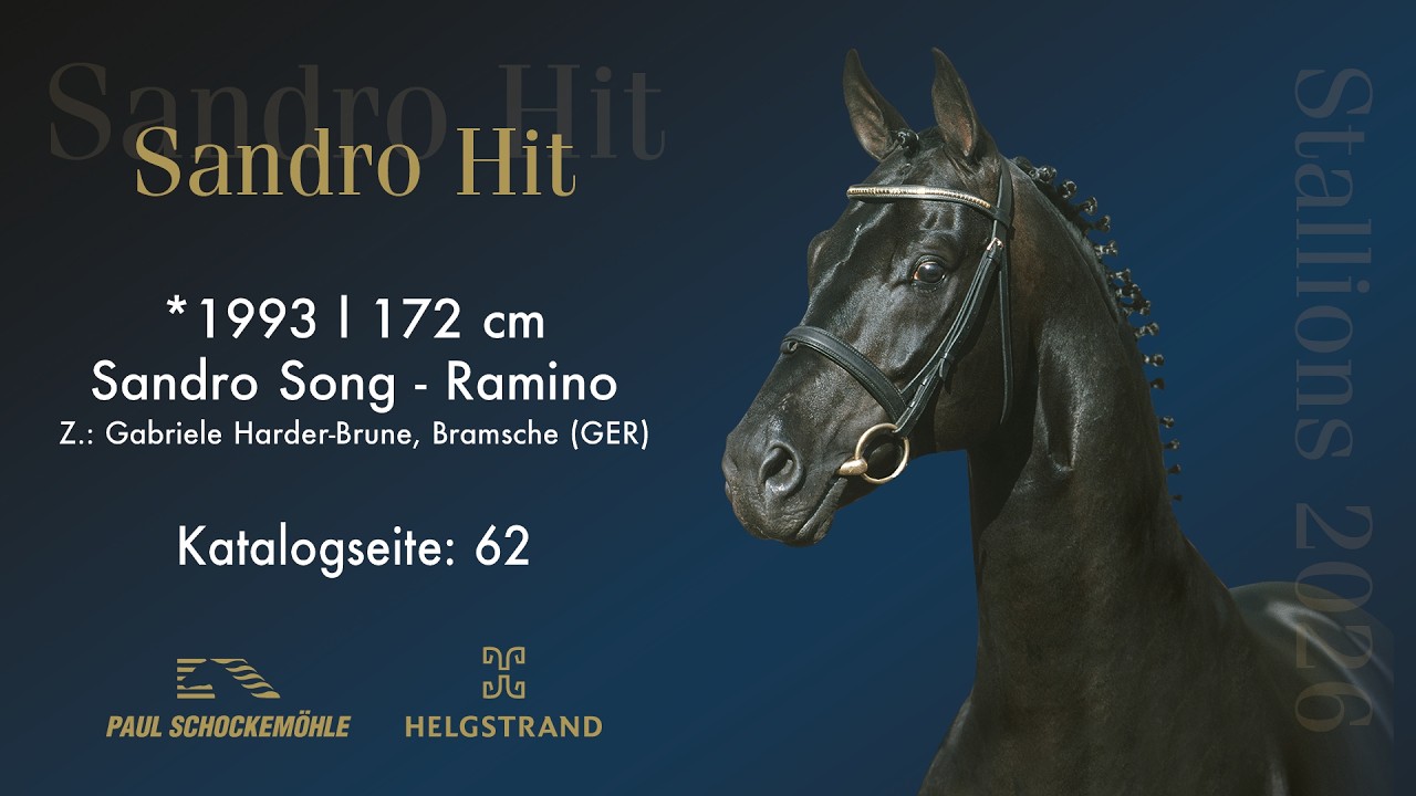 Sandro Hit