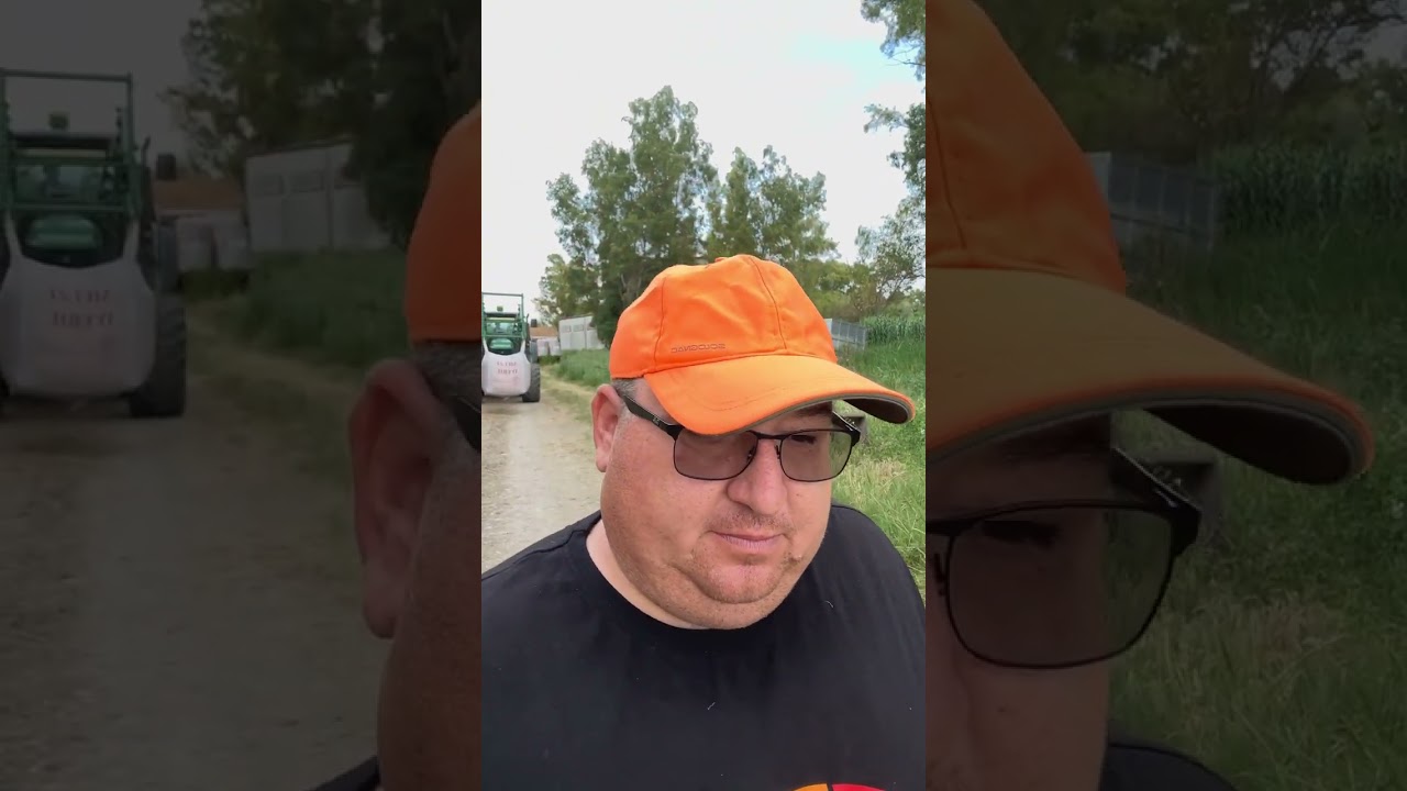 MAGISA RISO BUONO DI SIBARI