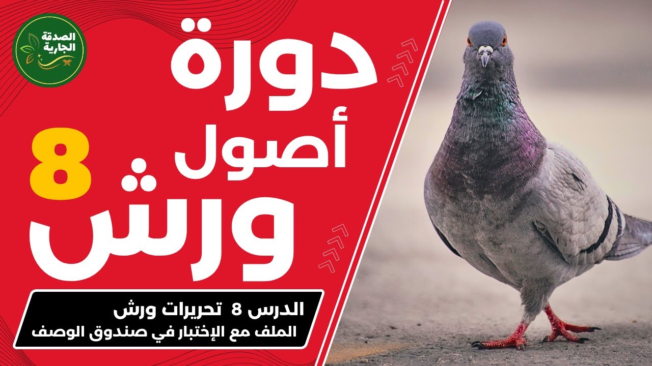 ما هي تحريرات ورش؟ دليلك الشامل! 🎯