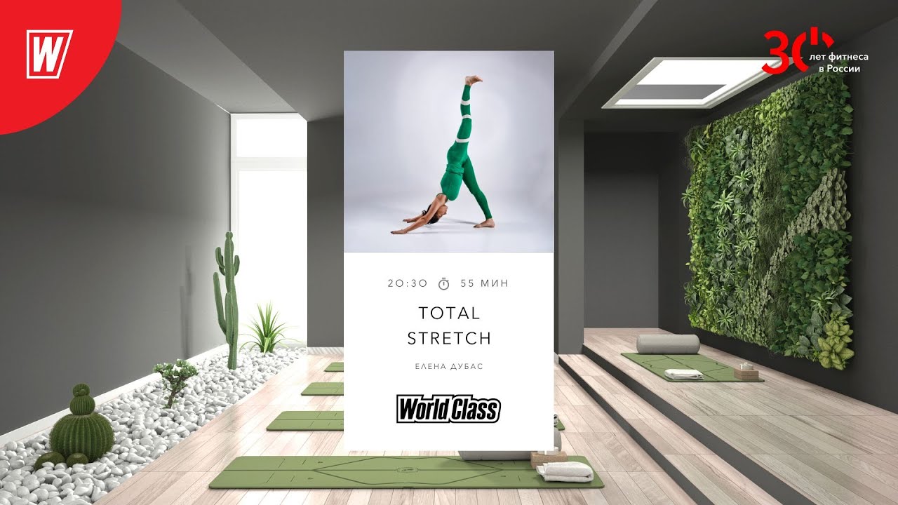 TOTAL STRETCH с Еленой Дубас | 17 октября 2023 | Онлайн-тренировки World Class