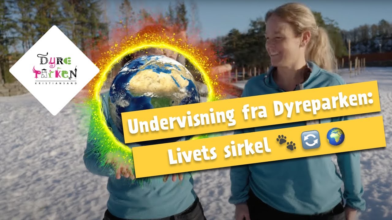 Undervisning fra Dyreparken: Livets sirkel  🐾 🔄 🌍