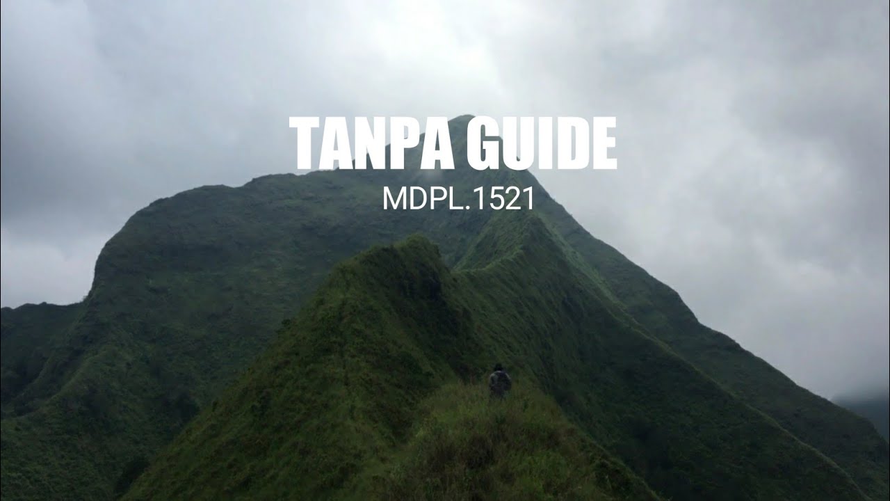 PENDAKIAN GUNUNG PIRAMID - BONDOWOSO.NEKAT MENDAKI KE PUNCAK GUNUNG PIRAMID TANPA GUIDE #2