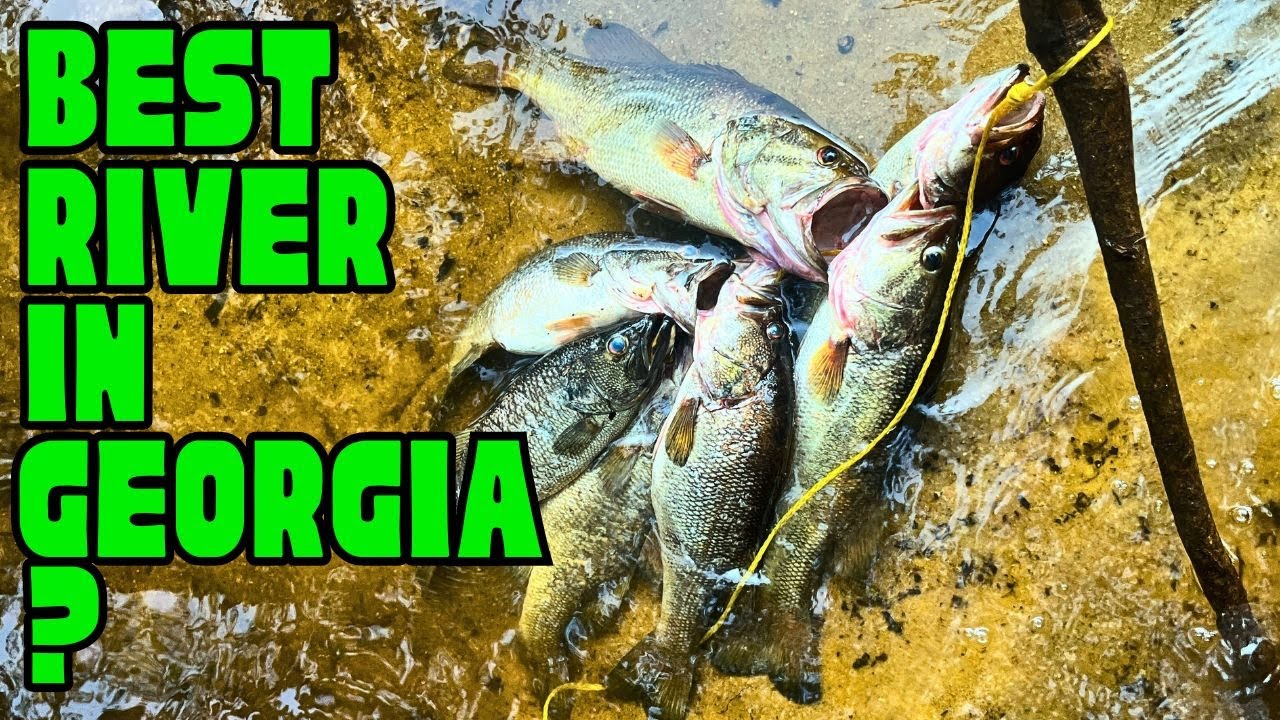Fishing the BEST river for Largemouth Bass in the State of Georgia!