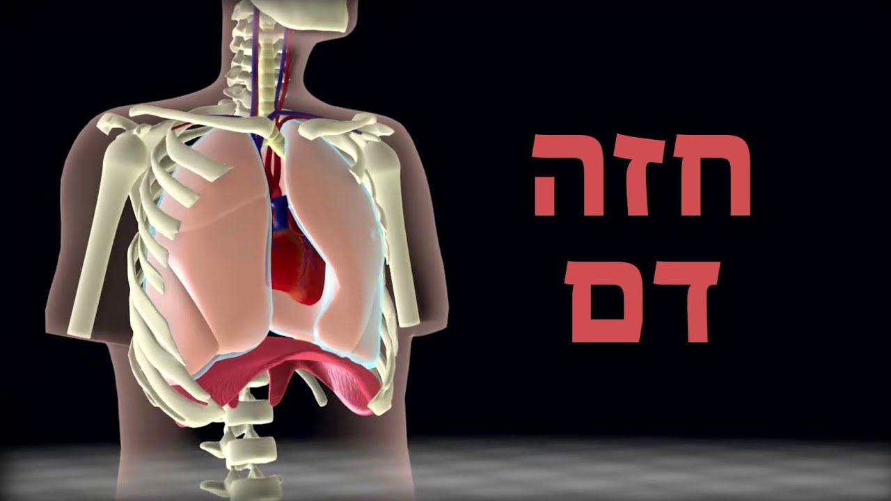 פגיעת חזה- חזה דם
