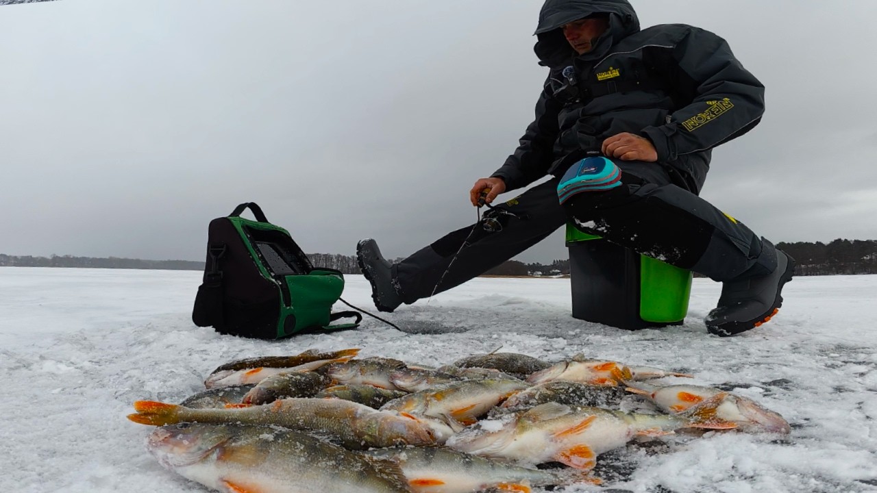 Everything was freezing in my eyes!!! Glacial perch!!!