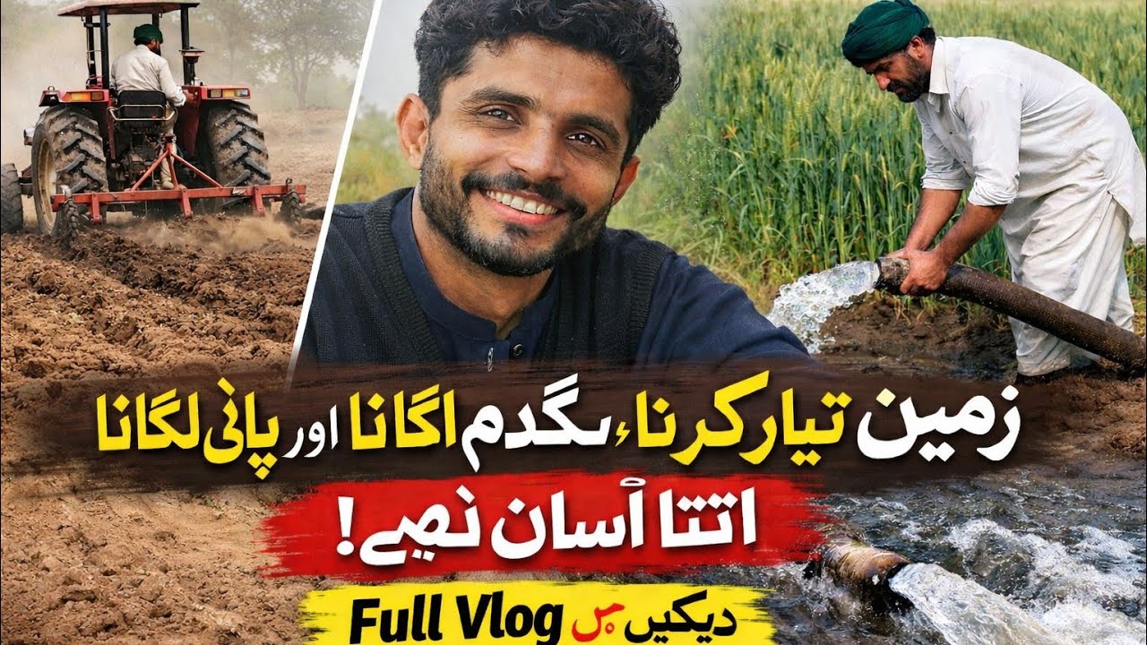 زمین تیار کرنا، گندم اگانا اور پانی لگانا اتنا آسان نہیں | Full Vlog میں دیکھیں