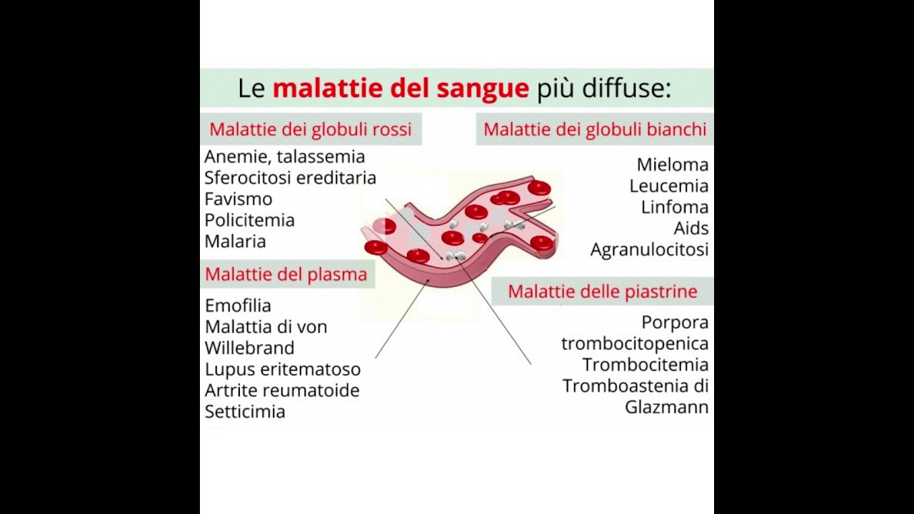 CMR EMATOLOGIA 1