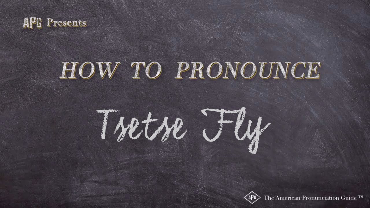 How to Pronounce Tsetse Fly (Real Life Examples!)