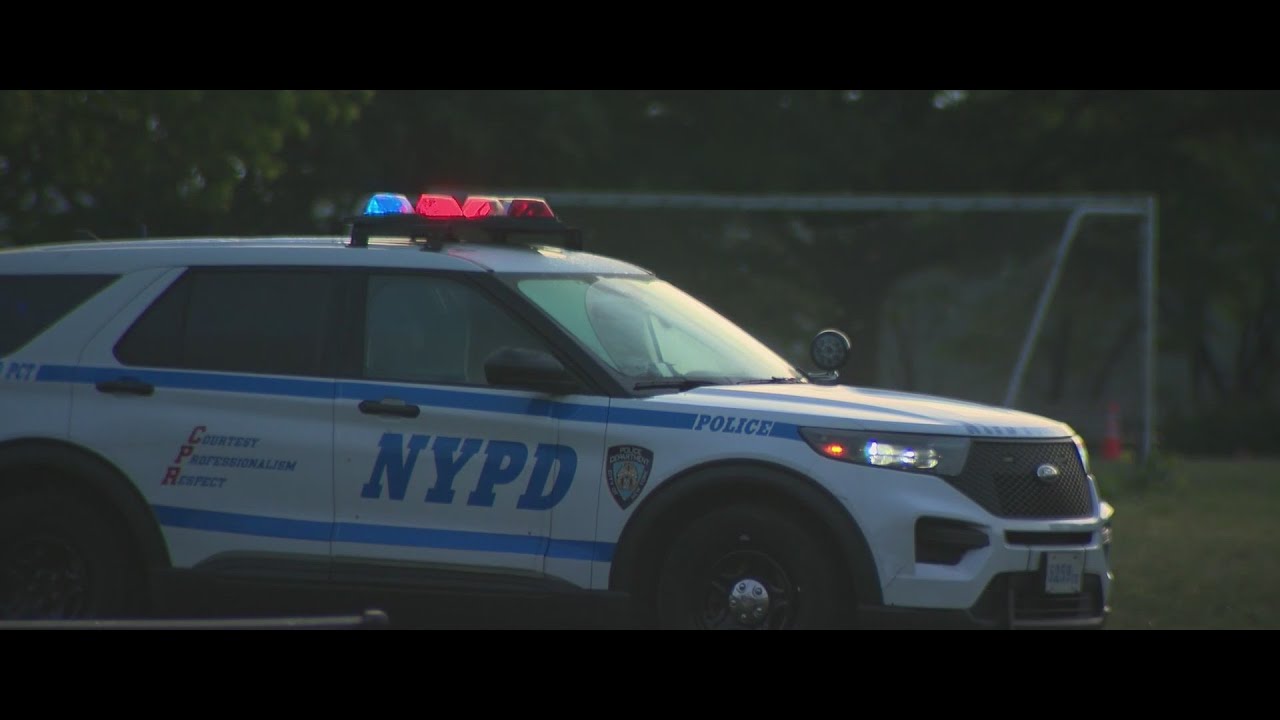 Man stabbed to death during brawl with 20 people in Queens park: sources