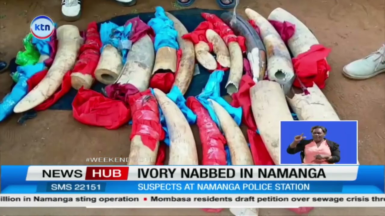 Police arrest two Tanzanian Nationals in major ivory bust, Namanga