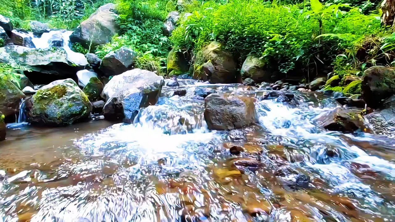 Gentle River Flow for Peaceful Sleep