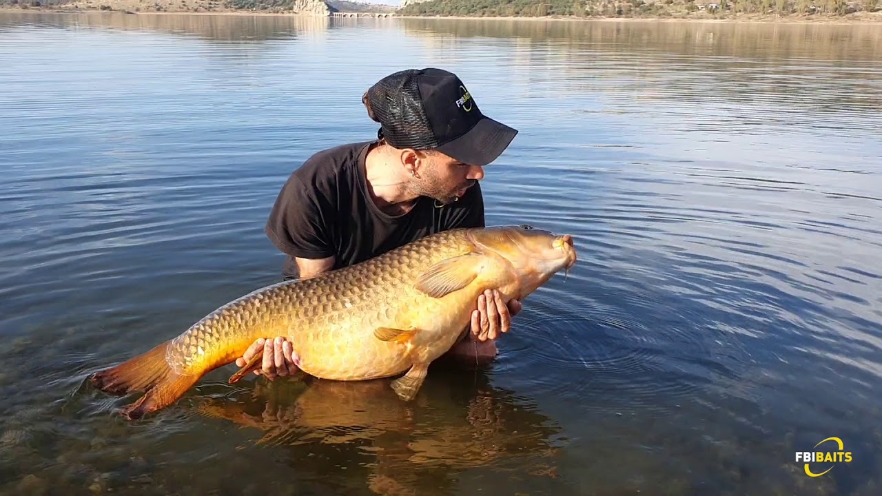 Carpfishing in Extremadura Embalse de Orellana
