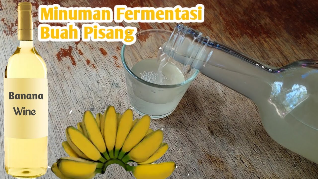 Wine Dari Buah Pisang | Minuman Fermentasi Buah Pisang | Begini Cara Pembuatannya | Banana Wine