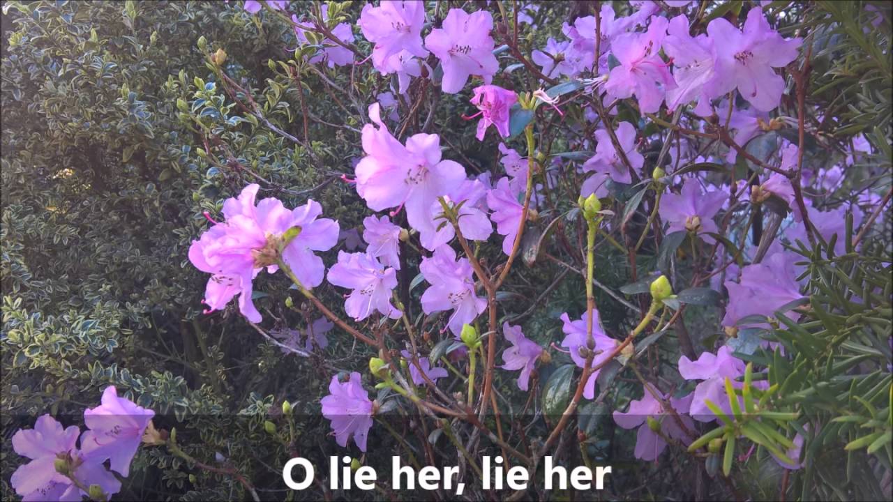 O du gamla   Frühlingslied