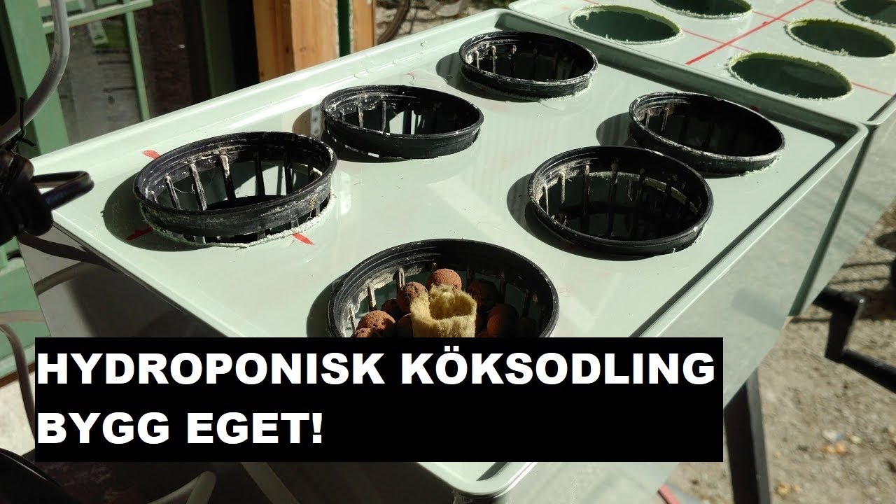 Hydroponisk Köksodling - Bygg Eget!