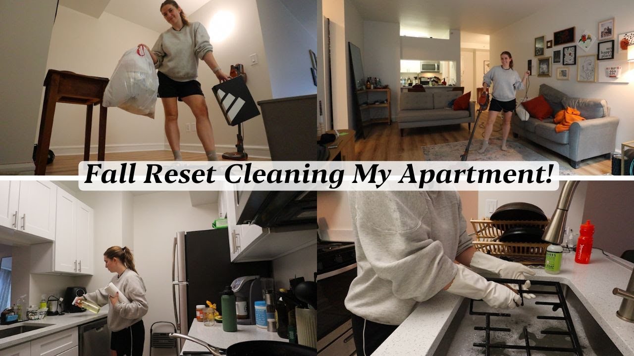 Deep Clean! Timelapse cleaning and organizing my entire apartment!