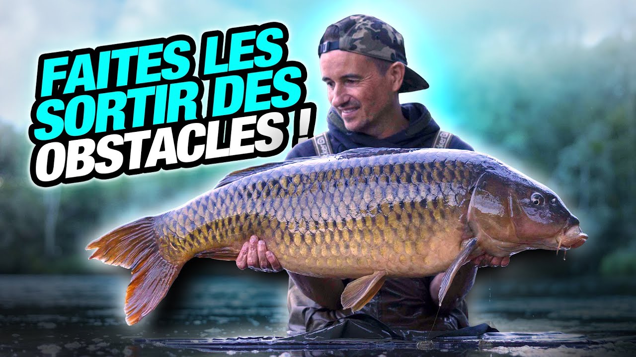 CARP FISHING FILM: FAITES LES SORTIR DES OBSTACLES !!