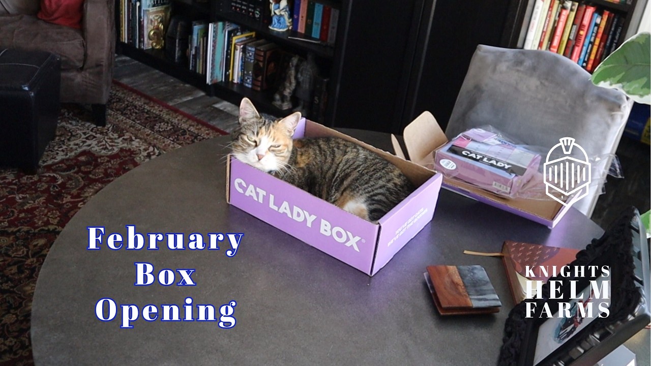 She Just Wanted To Lounge