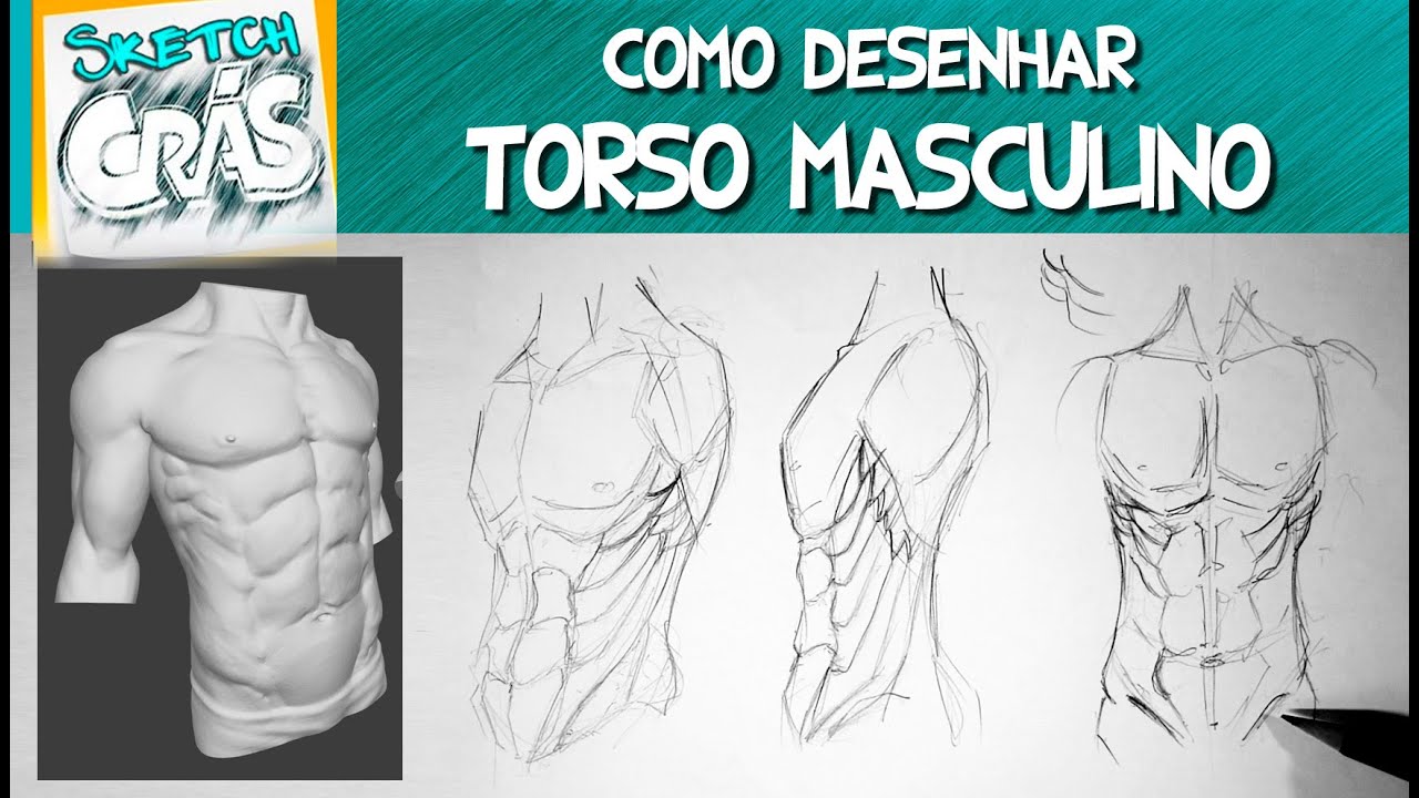 Como desenhar o TORSO masculino - Sketch Crás
